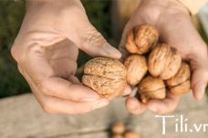 Mua hạt Óc Chó ở đâu tại Tp Hồ Chí Minh??