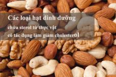 Bạn có tin khi ăn nhiều các loại hạt dinh dưỡng trên 4 lần trong 1 tuần sẽ nguy cơ chết do bệnh tim mạch giảm (con số thống kê là 50%) ?